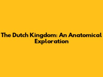 The Dutch Kingdom: An Anatomical Exploration