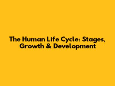 The Human Life Cycle: Stages, Growth & Development