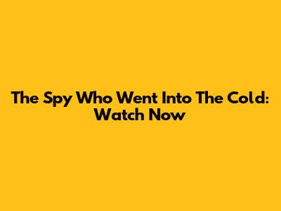 The Spy Who Went Into The Cold: Watch Now