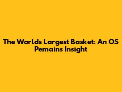 The World's Largest Basket: An OS Pemains Insight