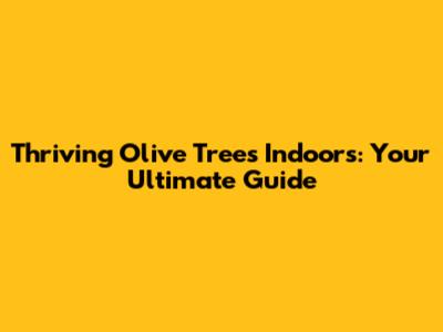 Thriving Olive Trees Indoors: Your Ultimate Guide