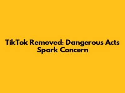 TikTok Removed: Dangerous Acts Spark Concern