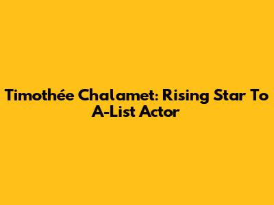 Timothée Chalamet: Rising Star To A-List Actor