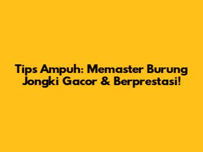 Tips Ampuh: Memaster Burung Jongki Gacor & Berprestasi!