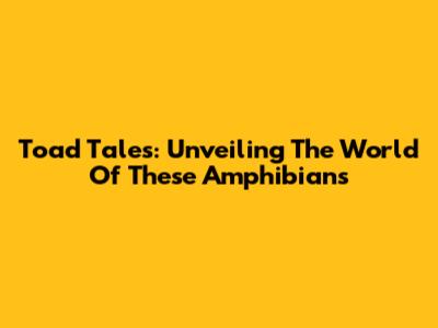 Toad Tales: Unveiling The World Of These Amphibians