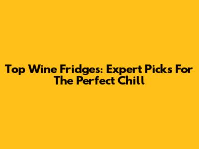 Top Wine Fridges: Expert Picks For The Perfect Chill