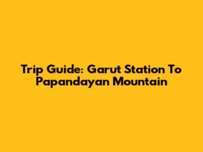 Trip Guide: Garut Station To Papandayan Mountain