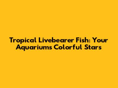 Tropical Livebearer Fish: Your Aquarium's Colorful Stars