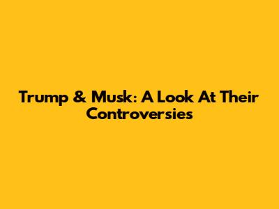 Trump & Musk: A Look At Their Controversies