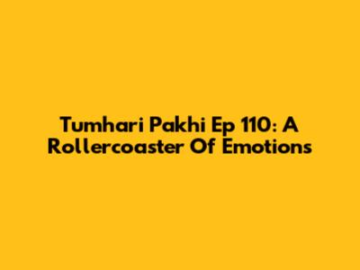 Tumhari Pakhi Ep 110: A Rollercoaster Of Emotions