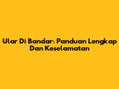 Ular Di Bandar: Panduan Lengkap Dan Keselamatan