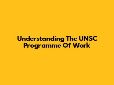 Understanding The UNSC Programme Of Work