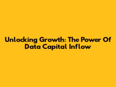 Unlocking Growth: The Power Of Data Capital Inflow