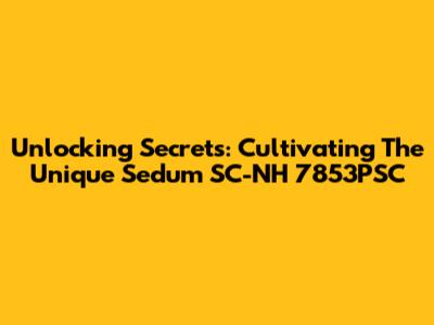 Unlocking Secrets: Cultivating The Unique Sedum SC-NH 7853PSC