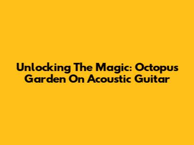 Unlocking The Magic: Octopus Garden On Acoustic Guitar