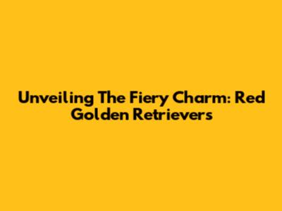 Unveiling The Fiery Charm: Red Golden Retrievers