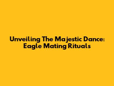 Unveiling The Majestic Dance: Eagle Mating Rituals