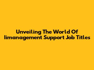 Unveiling The World Of Iimanagement Support Job Titles