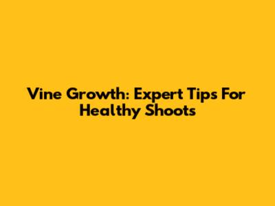 Vine Growth: Expert Tips For Healthy Shoots