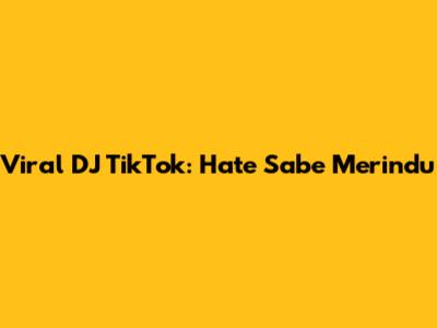 Viral DJ TikTok: Hate Sabe Merindu