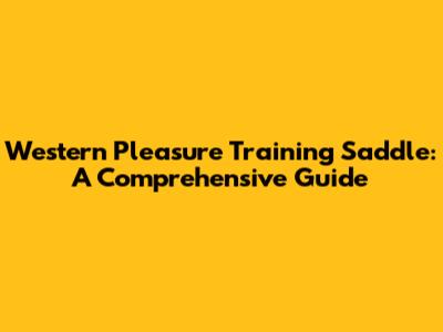 Western Pleasure Training Saddle: A Comprehensive Guide