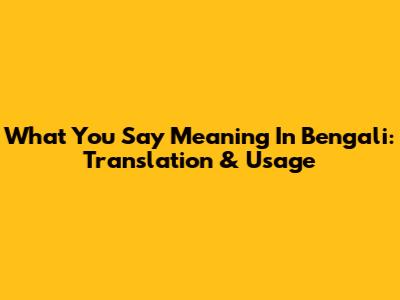 What You Say Meaning In Bengali: Translation & Usage