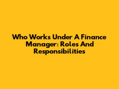 Who Works Under A Finance Manager: Roles And Responsibilities