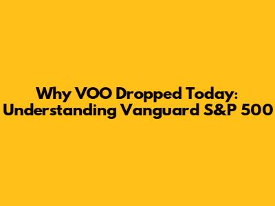 Why VOO Dropped Today: Understanding Vanguard S&P 500