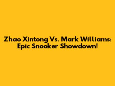 Zhao Xintong Vs. Mark Williams: Epic Snooker Showdown!