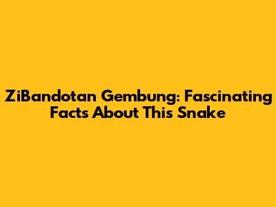 ZiBandotan Gembung: Fascinating Facts About This Snake